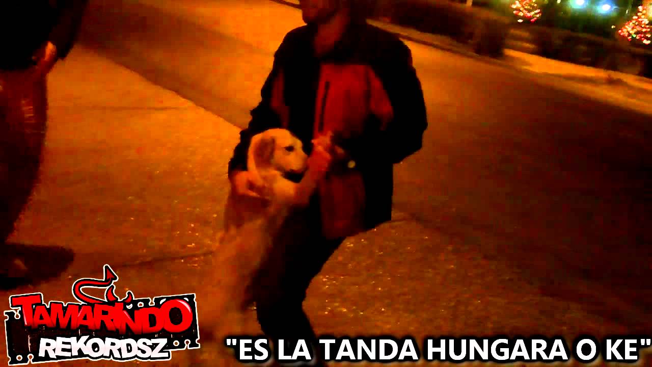 PEDA EN CULIACAN 2/4 [EL PERRO ROBADO, BAUTIZADO Y BAILADO]