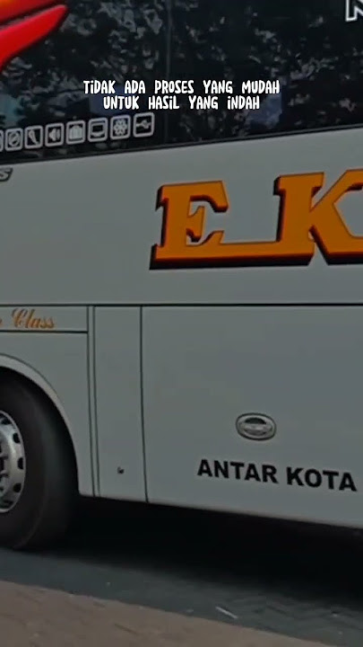 STORY_BUS_KATA' #storywa30detik #busviral #huntingbus
