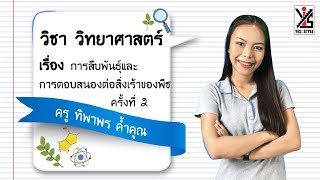 วิทยาศาสตร์ ม.1 ตอนที่ 4 การสืบพันธุ์และการตอบสนองต่อสิ่งเร้าของพืช Part2 - Yes iStyle