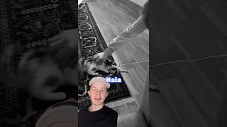 Hejdå Nala 😪