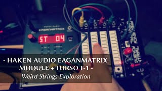 Haken Audio EaganMatrix Module + Torso T-1 - Weird Strings Exploration