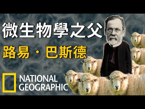 國家地理探索系列：「微生物學之父」巴斯德《國家地理》雜誌