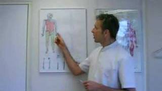 Segmentale Acupunctuur Ores