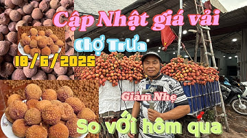 Giá Vải 18/6/2025 Biến Động Nhẹ Tại Thị Trấn Phì Điền Lục Ngạn Bắc Giang #lụcnganquetoi