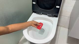 Put this in your toilet and watch what happens when you flush