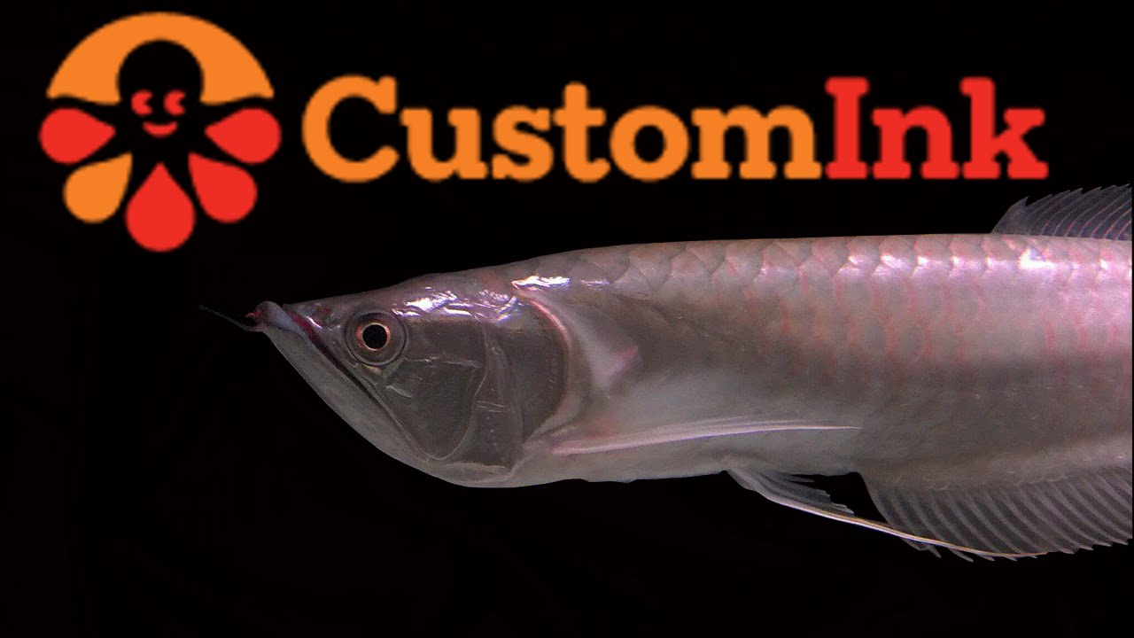 camera iphone 8 plus apk CustomInk Stingray, Arowana, Gar Shirt