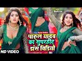 Video Pawan Singh र ज ज क द लव Shivani Singh Rajaji Ke Dilwa New Bhojpuri Song 2024