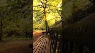 Composition No. 7 in G major | Romantic Orchestral Music Inspired by Holland Park, London