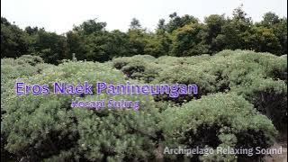 Eros Naek Panineungan - Kecapi Suling, Beautiful Relaxing Tribal Music