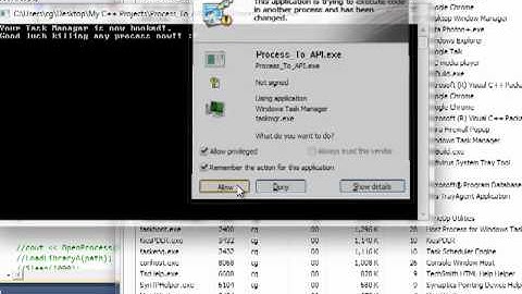 NtTerminateProcess Hook