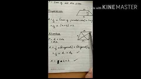 MLZS JHANSI CLASS 8 Mathematics Chapter 11 Mensuration Lecture 1