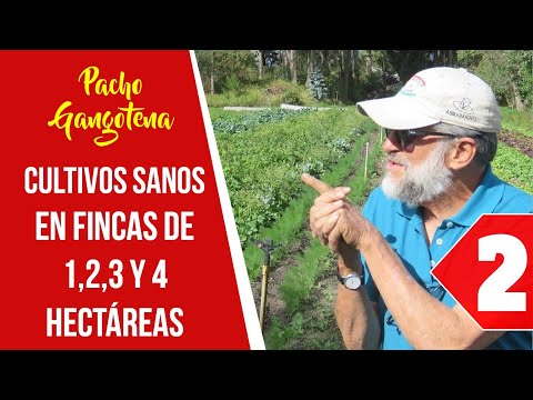 02 Cultivar Sano y Sustentable en Fincas de 1, 2, 3 y 4 Hectáreas. Realizar lotes de 40x6 metros.