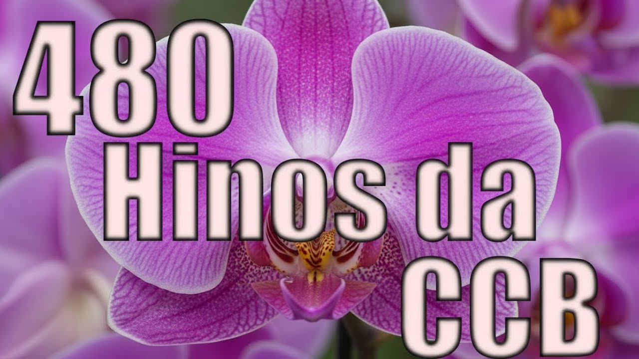 480 Hinos Cantados CCB - 01,02,03,11,275,460,275,180,307,211,115,35,68 - CCB 28/12/2025
