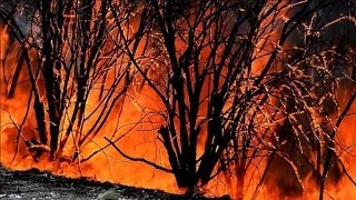Australia crews battle to tame wildfires