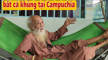 Thầy Rắn Ông Tư Đền Kể Chuyện Bắt Cá Mùa Nước Nhiều Khủng Khíp 