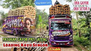 truk giga muat kayu sengon super 15,8 kubik untuk suplay pabrik triplek jombang❗