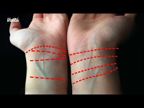 Video: ¿Qué significan las líneas en las formas?
