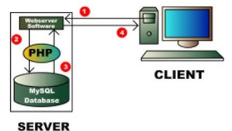 WEB TECHNOLOGY|INTRODUCTION TO CLIENT SIDE SCRIPT,SERVER SIDE SCRIPT,JAVASCRIPT,PHP, JSP,VASP,CSS