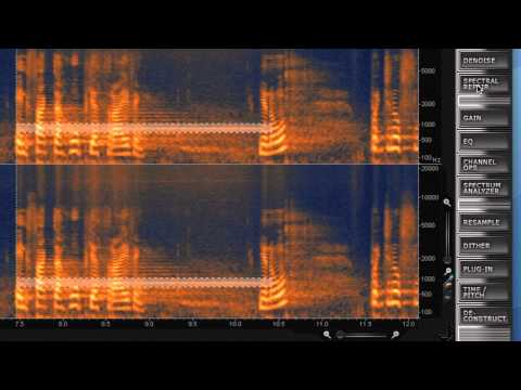 Eliminate Feedback with RX 2 | iZotope Tips From A Pro