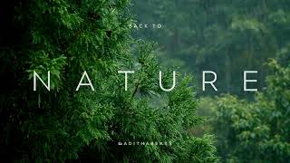 FREE Beat – Nature | Melodic Soft Trap Instrumental | Prod. BadithaBeats screenshot 4