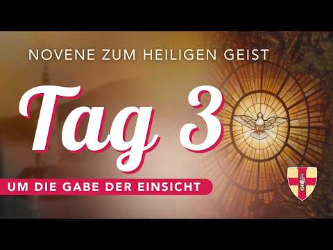 Pentecost Novena | Day 3 | The Insight