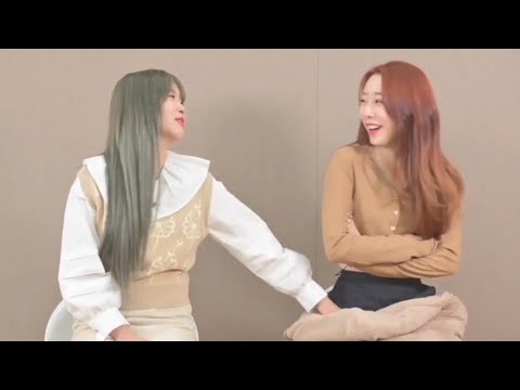 [우주소녀] 연정이의 다영이 칭찬 모음
