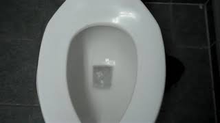 Eljer Toilet at Menard's