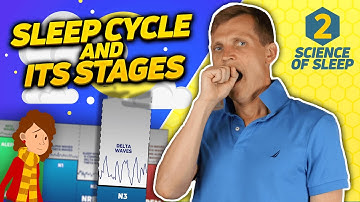 Sleep Cycle, Sleep Stages and Sleep Architecture - Science of Sleep, Part 2/6