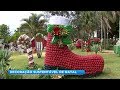 Material reciclável se transforma em decoração de Natal em Santa Cruz do Rio Pardo