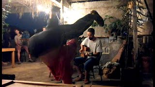 Stranger Dances Spontaneously At Lynx Filante Gig!