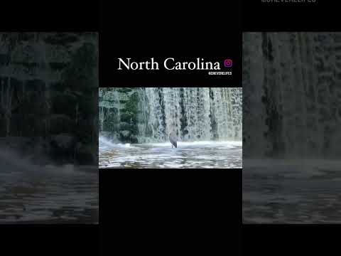 Así es Raleigh en Carolina del norte #travel