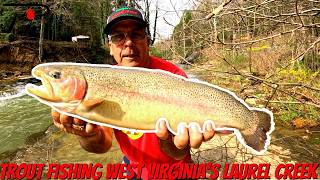 New River Area Trout Fishing | Laurel Creek WV