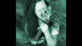 Vignette de la vidéo "Dimebag's lost song"