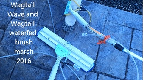 wagtail wave and brush splash window cleaning & powerwashing