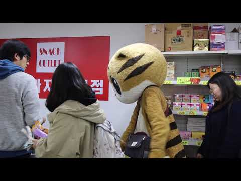 JHKTV] 신촌명물고양이돈이 없어  shinchon special <strong>cat</strong>  do <strong>not</strong> have money