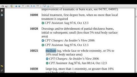 Integumentary system - Burns - Current Procedural Terminology