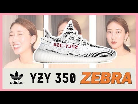 아디다스 이지부스트 350 V2 지브라 실착 리뷰 / 2020년 버전 확인법 싹쓰리 공개!