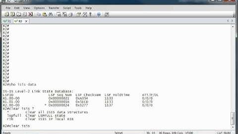 IS-IS Level-2 Only Router