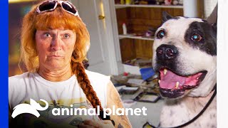 Tia Rescues Dog Tied Up in Abandoned House | Pit Bulls & Parolees