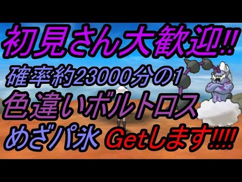 ポケットモンスター 幻のめざパ氷色違いボルトロスgetします ウルトラ サン ムーン Live Part 4 Youtube