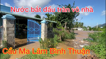 Trực tiếp nước lũ tràn về cầu Ma Lâm Bình Thuận