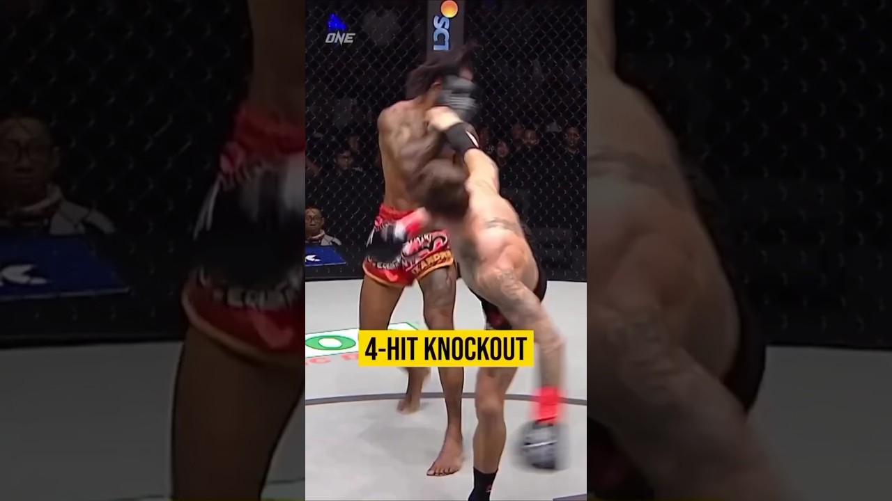 5 Secrets Pro MMA Fighters Use to Master the Perfect Spinning Kick 