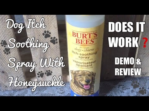 🐾burt’s-bees-for-dogs-itch-soothing-spray-review-demo-does-it-work❓