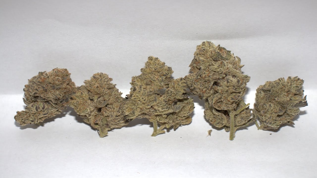 Strain Review Khalifa Mints by Compound YouTube