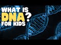 Unraveling the Mysteries of DNA and Its Impact on You