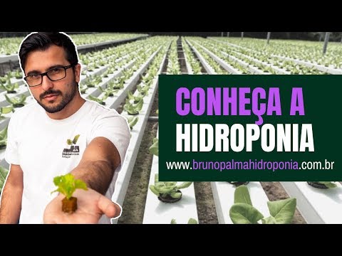 Vídeo: Armazenamento de vegetais como negócio: plano, rentabilidade, comentários