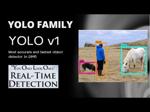 YOLO Series |
