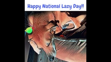 Happy National Lazy Day!!