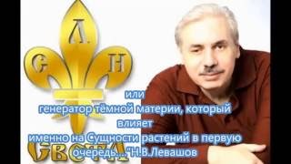 Проект СветЛ-Флора. СветЛячок. 1 часть. 2014 - 2016.