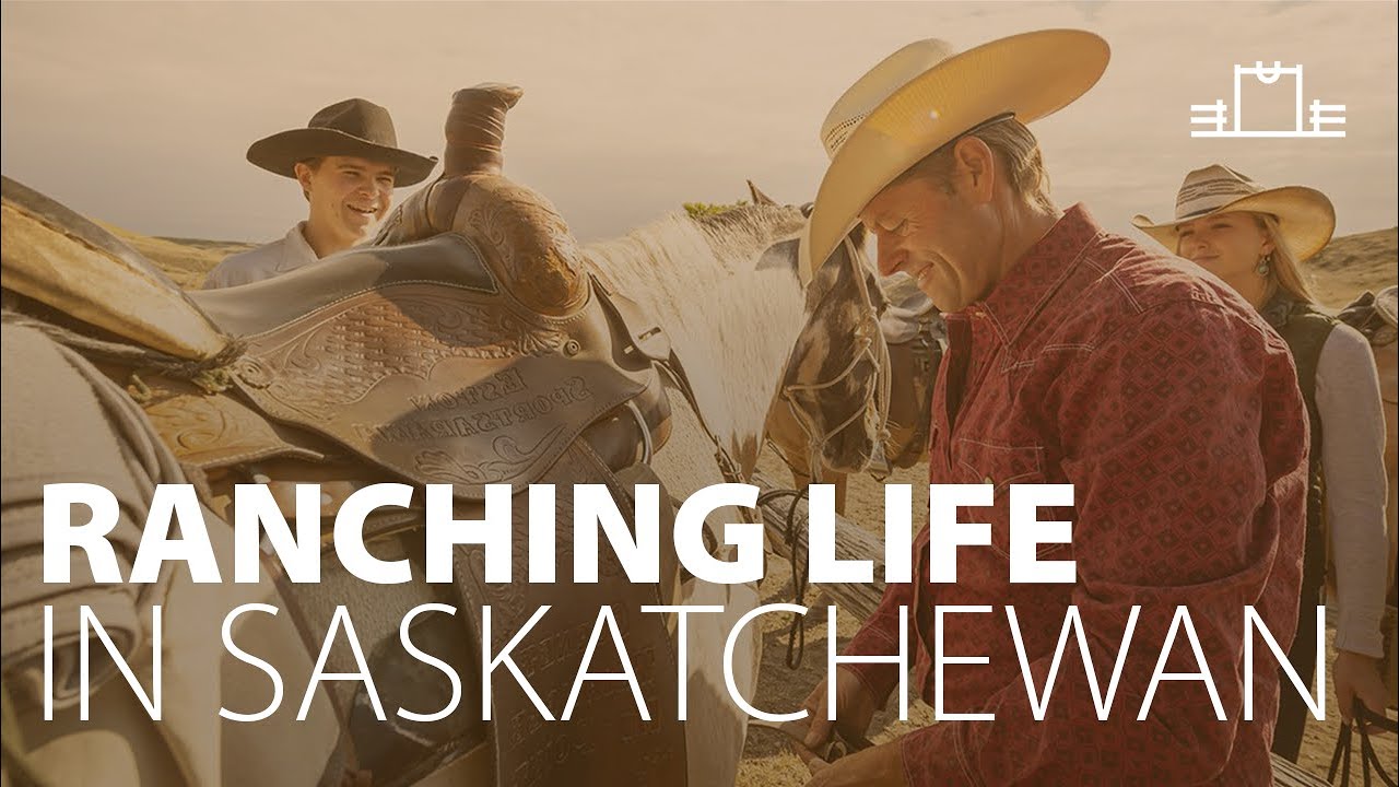Valley of Horses | Find peace of mind on a Saskatchewan ranch - YouTube